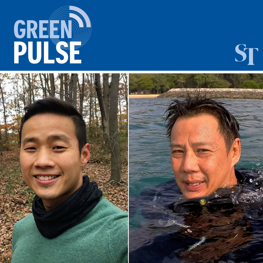 Lessons from female sperm whale Jubi Lee found dead in Singapore in 2015: Green Pulse Ep 4