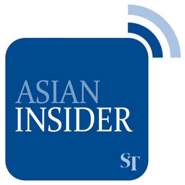 Indonesia's 'gado-gado' Cabinet - recipe for success? Asian Insider Ep 9