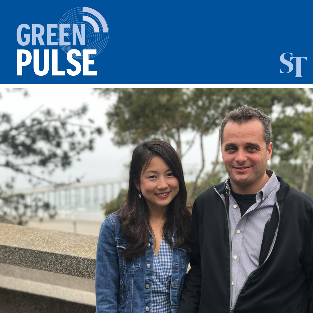 Geoengineering: Can modifying the climate stop climate change? - Green Pulse Ep 7