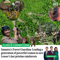 Climate Connections: Sumatra's Forest Guardian - Leading a generation of powerful women to save Leuser’s last pristine rainforests