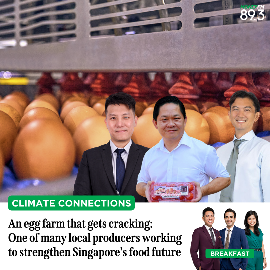 Climate Connections: An egg farm that gets cracking - one of many local producers working to strengthen Singapore's food future