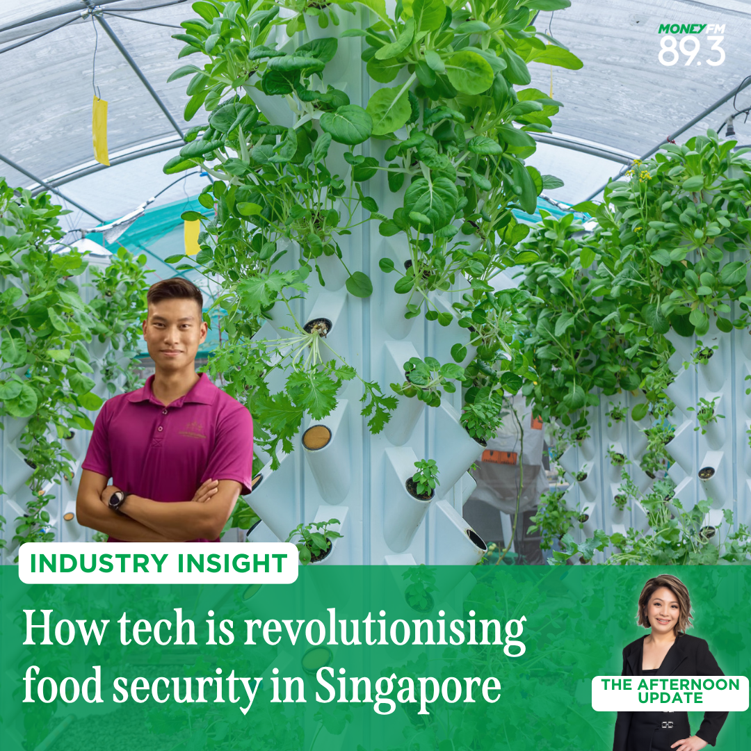 The Afternoon Update with Lynlee Foo