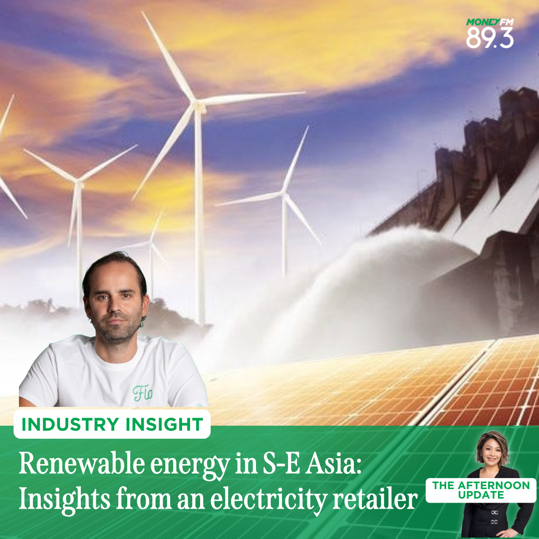 Industry Insight: Challenges and opportunities in Southeast Asia's renewable energy sector