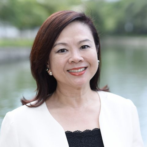 Sustainable Singapore: Tackling climate change through the built environment