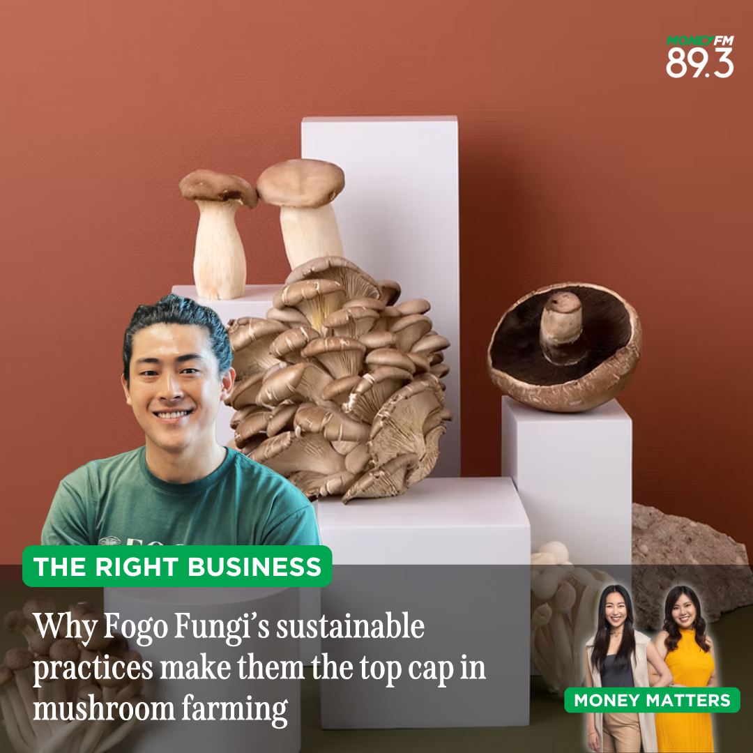 Right Business: This company is betting on mushrooms to fix our food system