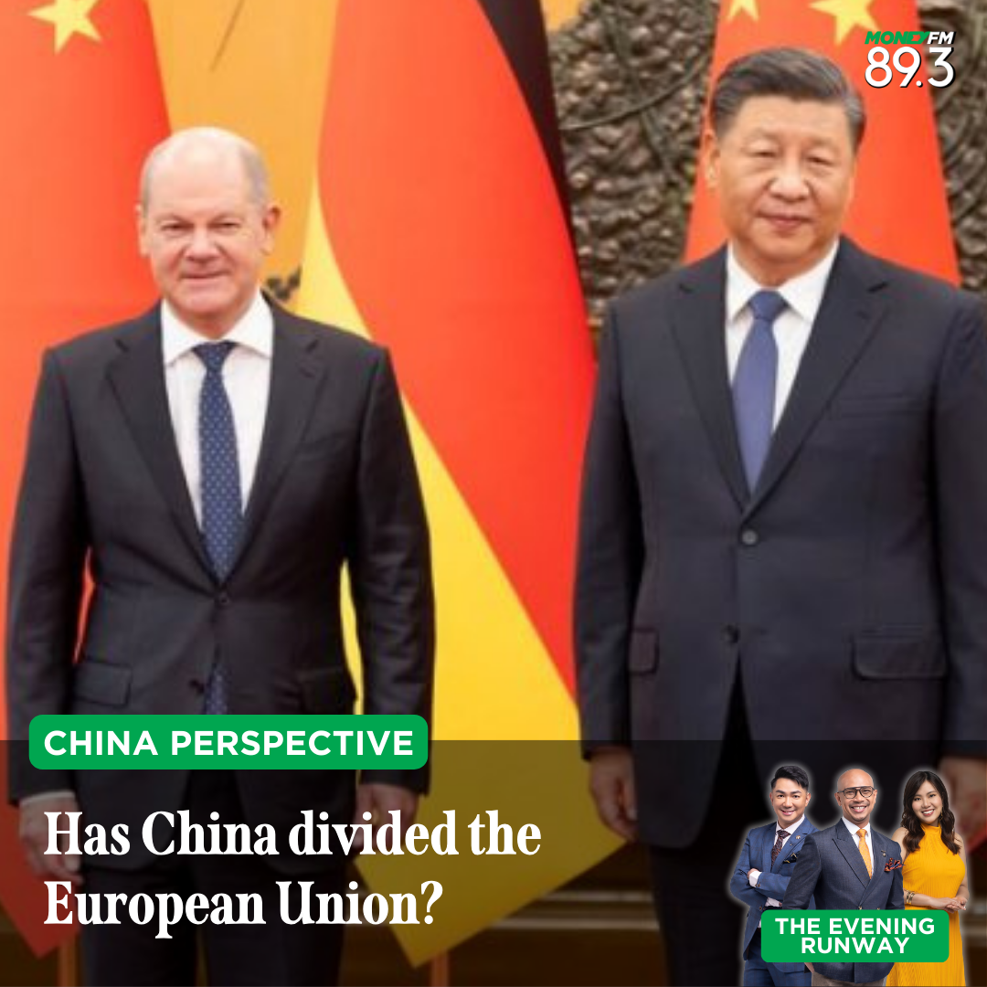 China Perspective: Has China divided the EU? Is cooperation on the cards?