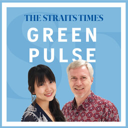 How apocalyptic wildfires in California affect Singapore: Green Pulse ep 33
