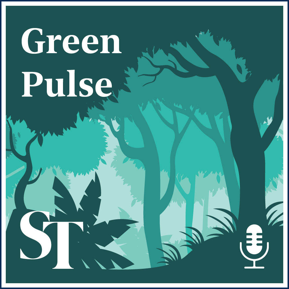 Green Finance 101 (Pt 1): Directing capital to meet climate goals - Green Pulse Ep 47
