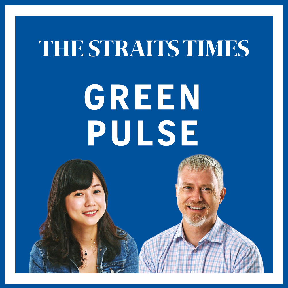 How humans are changing the oceans: Green Pulse