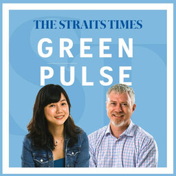 Getting to the bottom of plastic pollution: Green Pulse Ep 35