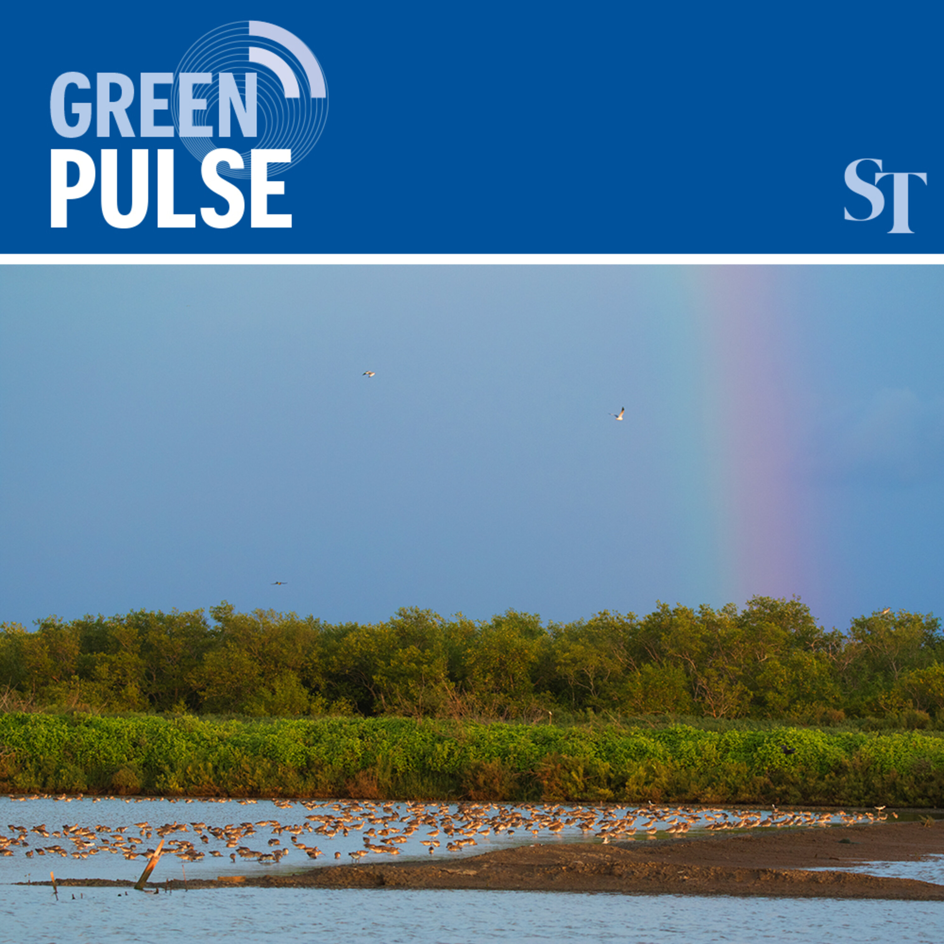 S1E10: The canary in the coalmine - how climate change affects nature: Green Pulse Ep 10