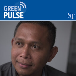 How tropical rainforests are important world carbon sinks: Green Pulse Ep 5