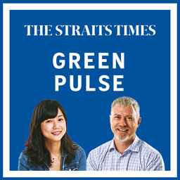The climate crisis in Asia in 2022: Green Pulse Ep 68