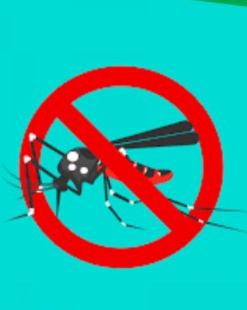 Weekends: The NEA's Dr Grace Yap on Singapore's record-breaking Dengue outbreak and how to keep safe