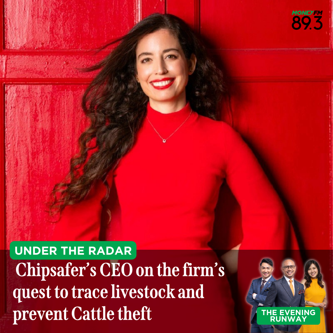 Under the Radar: Chipsafer’s quest to trace livestock and to prevent disease and Cattle theft