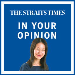 Analysing sentiments of some pro-China Singaporeans and differing views over Ukraine crisis