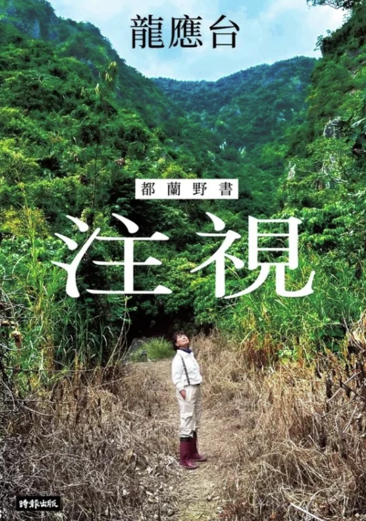 你有好好和这个世界相处吗？龙应台《注视》