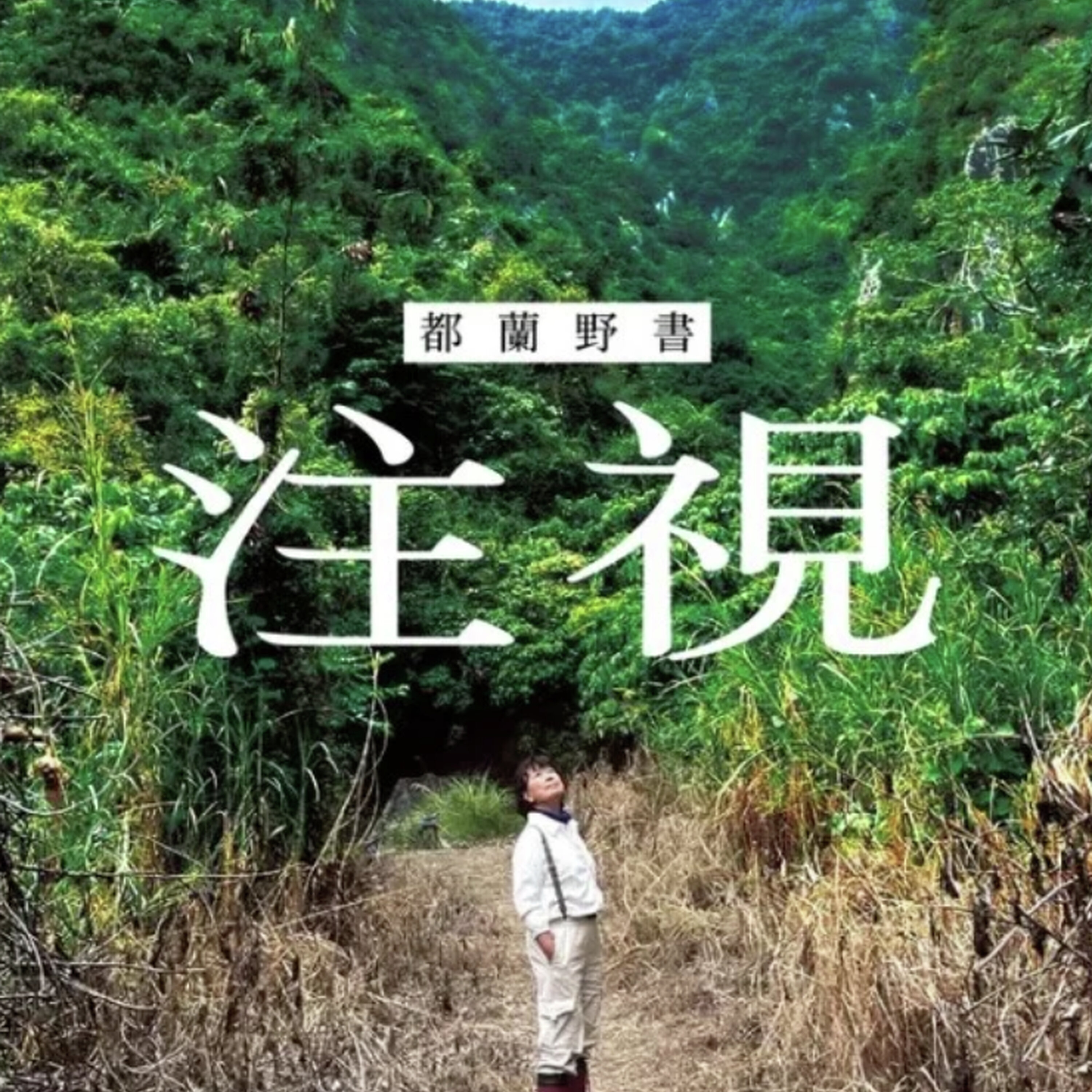 你有好好和这个世界相处吗?龙应台《注视》