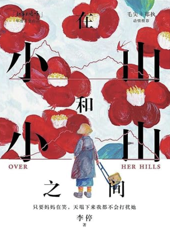 是什么让一对母女越走越远？李停《在小山和小山之间》