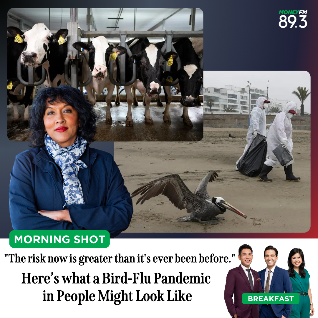 Morning Shot: "The risk now is greater than it's ever been before." Here’s what a Bird-Flu Pandemic in People Might Look Like