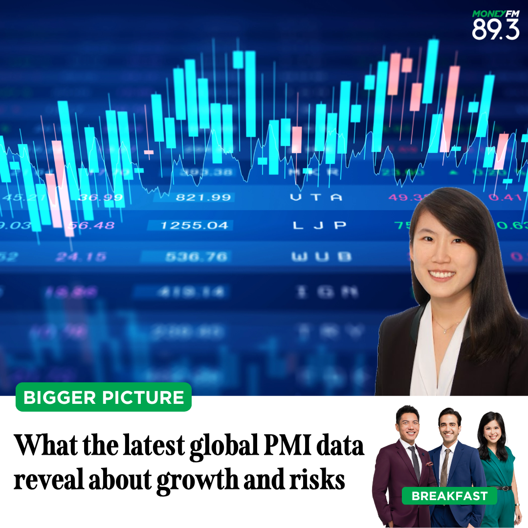 Bigger Pic: What the latest global PMI data reveal about growth and risks