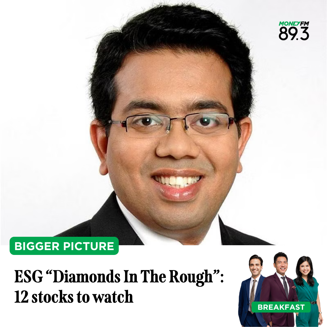 Bigger Picture: Finding ESG "diamonds in the rough" in the stock market