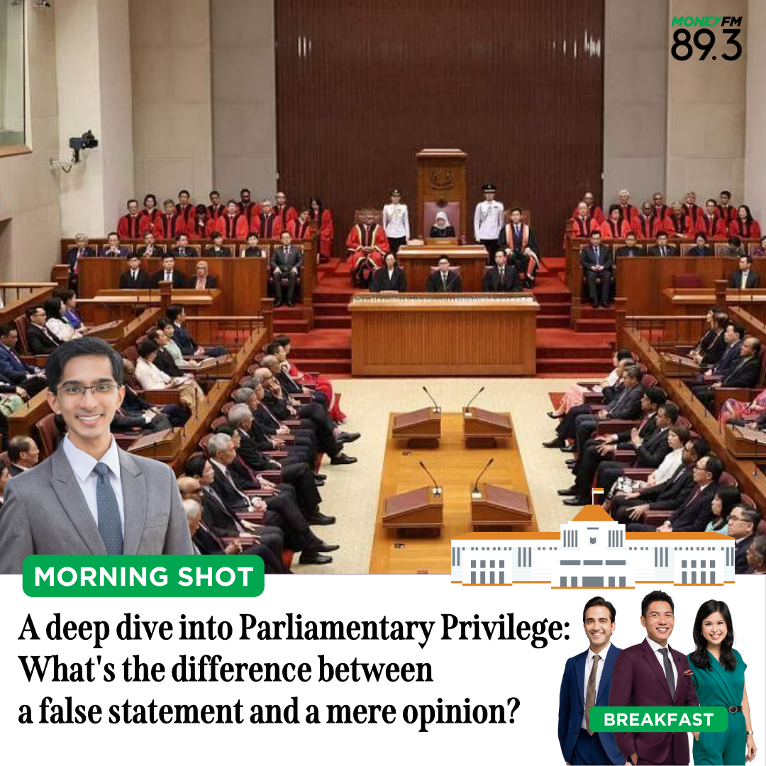Morning Shot: A deep dive into Parliamentary Privilege. What's the difference between a false statement and a mere opinion?