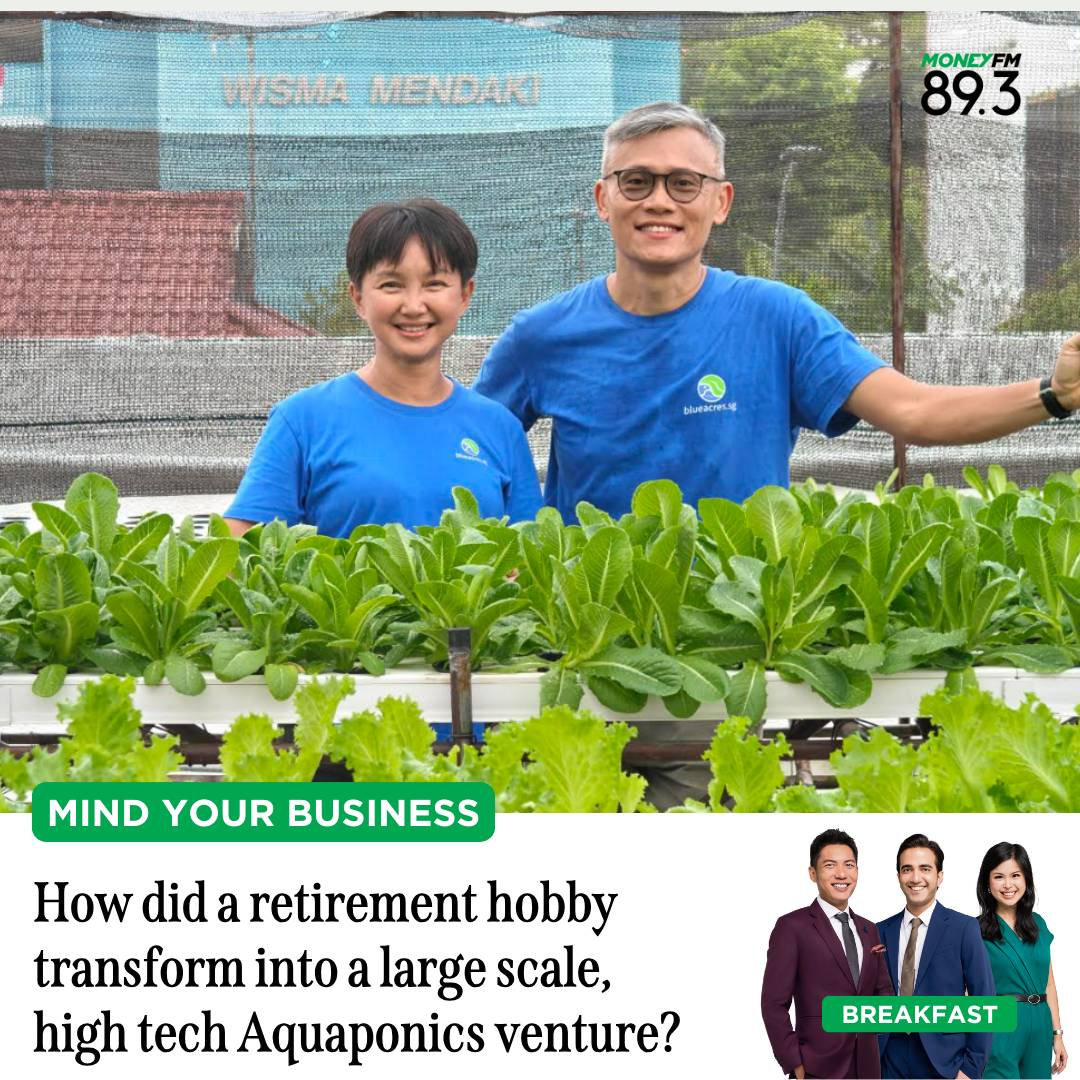 Mind Your Business: How did a retirement hobby transform into a large scale, high tech Aquaponics venture?
