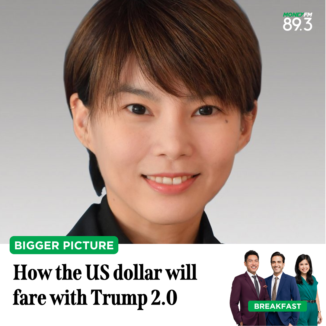 Bigger Picture: How is the US dollar shaping up with Trump 2.0 next year?
