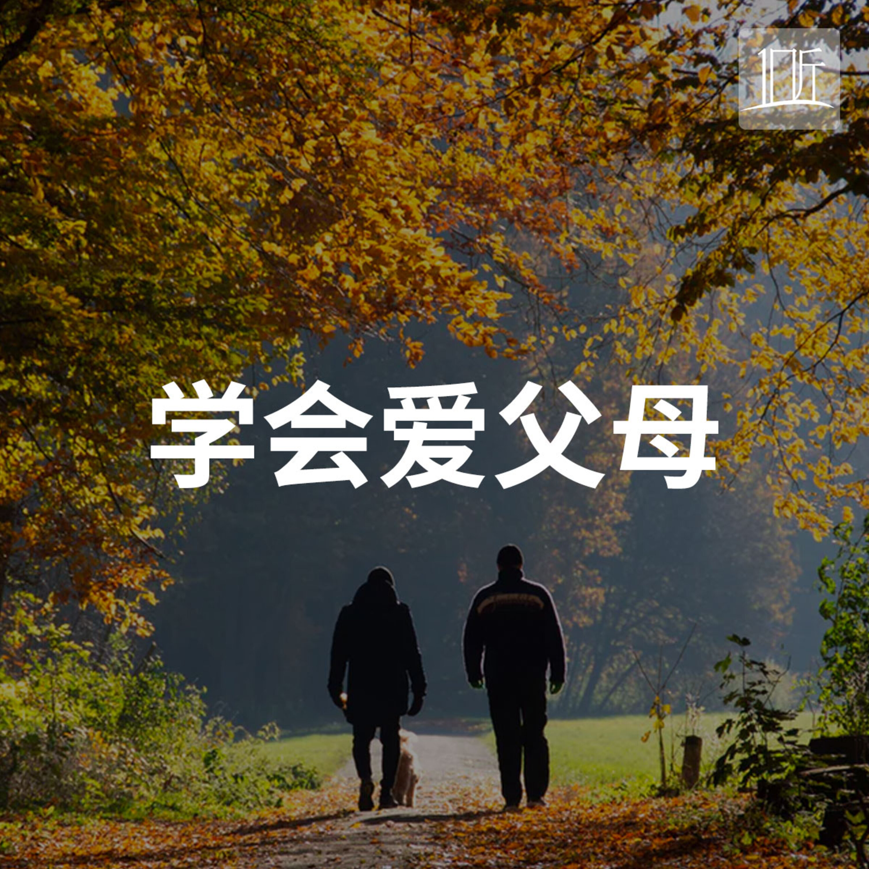 《学会爱父母》第13堂:学会爱自己