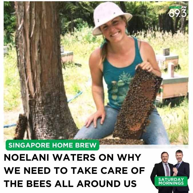 Saturday Mornings: Noelani Waters, Bee and Nature Advocate on why we must keep our bees safe!