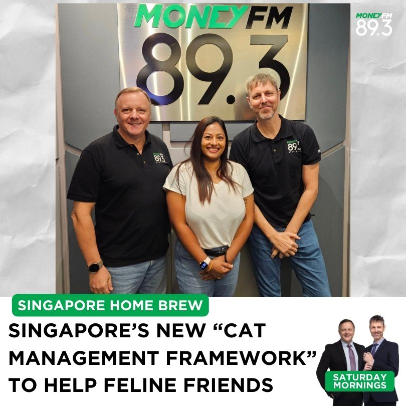 Saturday Mornings: "The Cat Whisperer" talks about Singapore's new "Cat Management Framework"