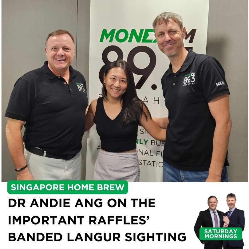 Saturday Mornings: Dr. Andie Ang on this weeks' historic sighting of a Raffles' banded langur in Singapore