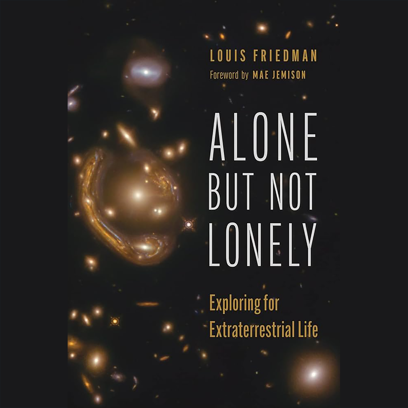 Alone but not lonely with Louis Friedman