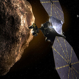 Leaders of the Lucy asteroid mission