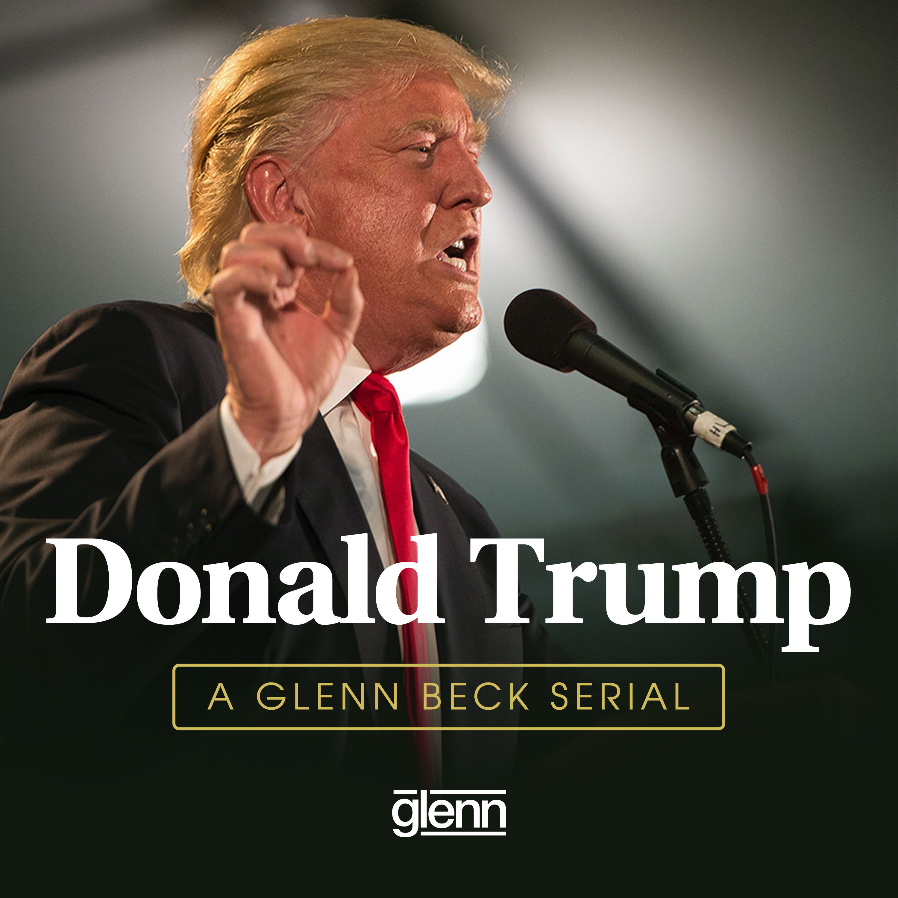 Serial: Donald Trump - Business History