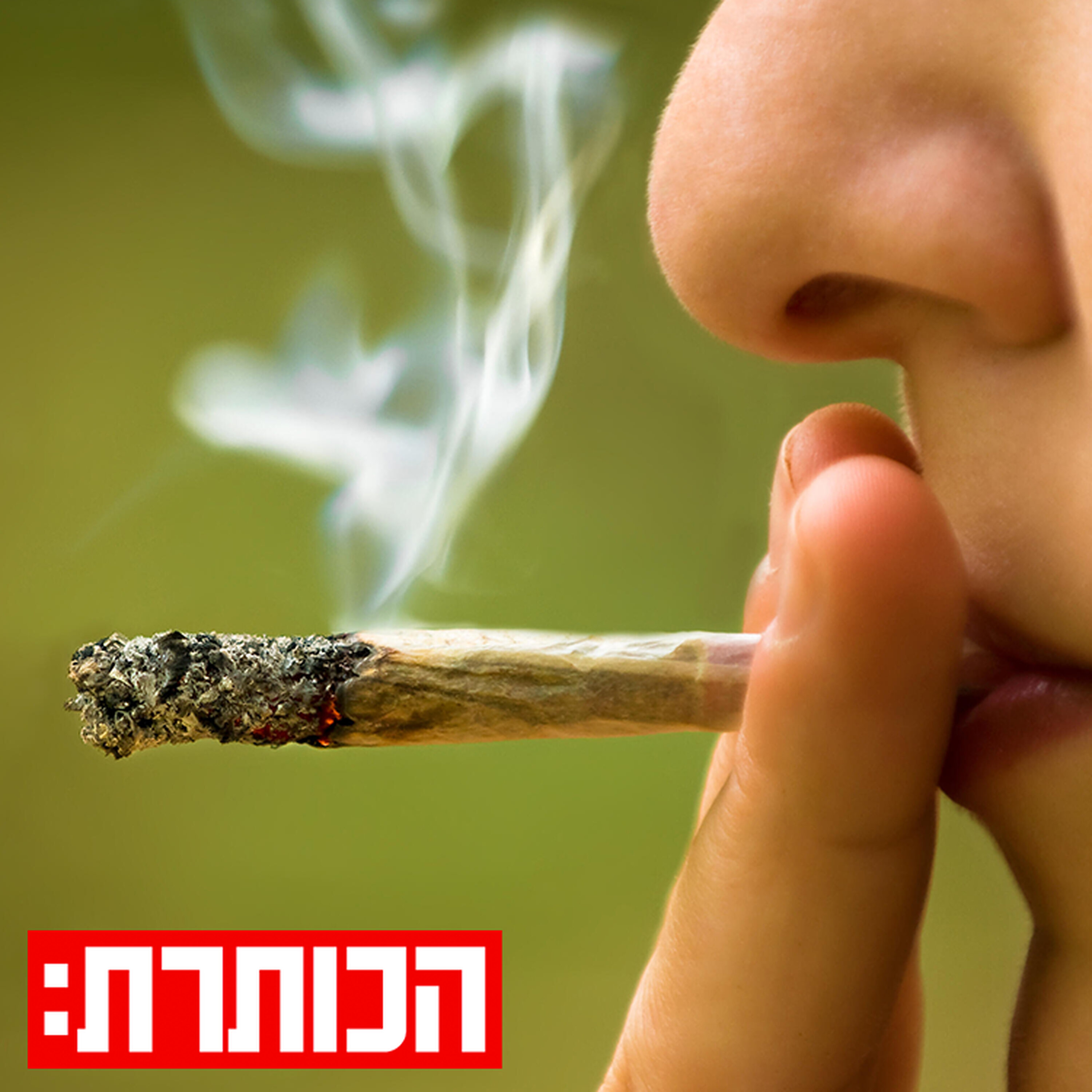 הקנאביס הרפואי בישראל: תרופה חיונית או ישראבלוף מסוכן?