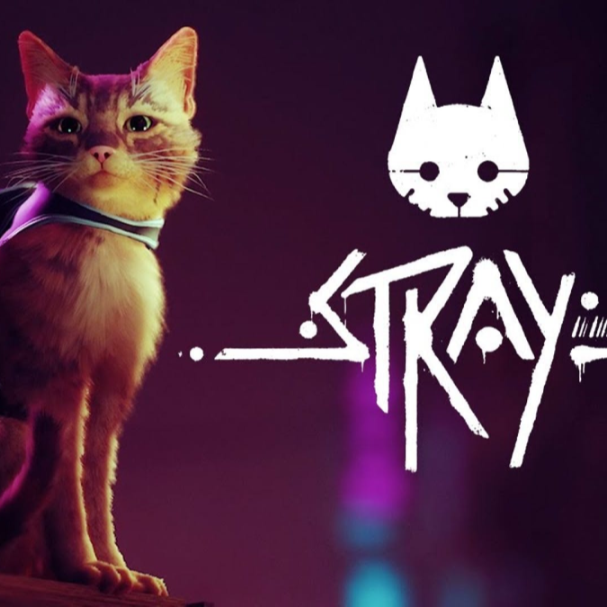 Review In Progress - Stray