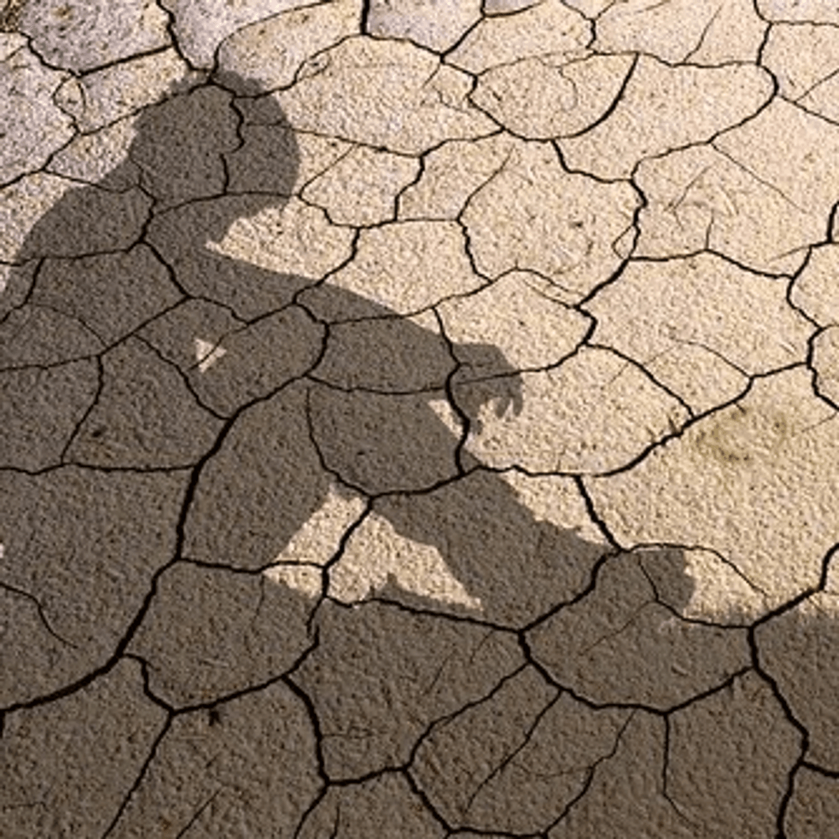 Is Climate Anxiety an ESG Problem? episode artwork