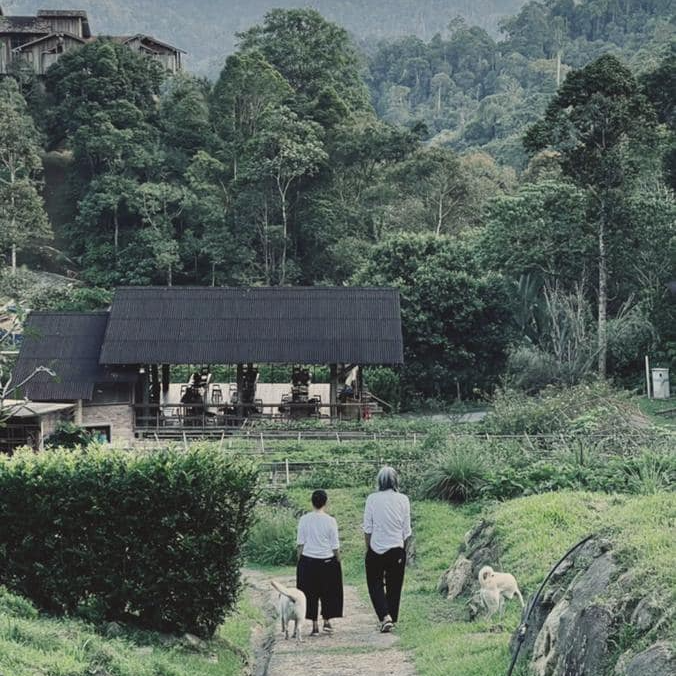 A Little Farm On The Hill