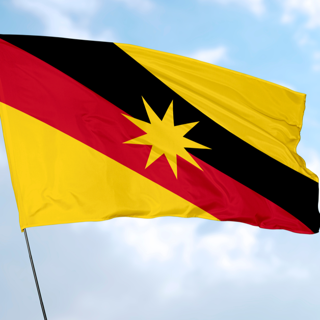 What Can We Expect From Sarawak State Elections?