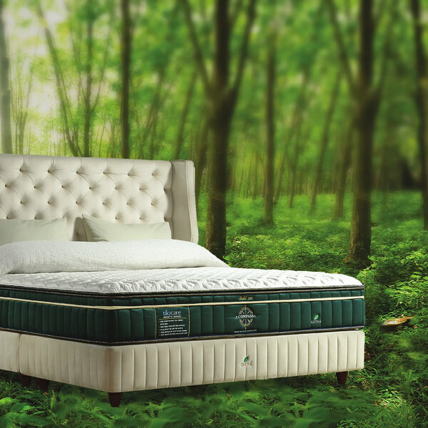 三代家族企业品牌化经营 Gethá 多渠推天然乳胶床褥