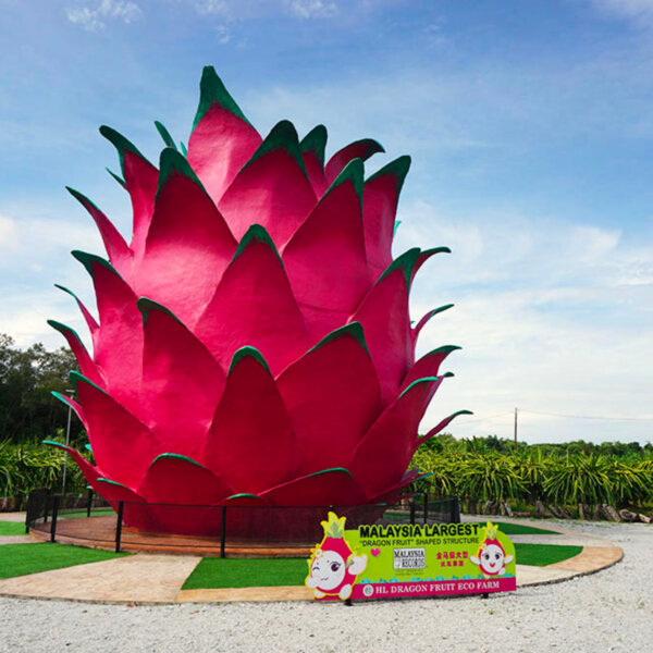 逆风建最大火龙果主题建筑 HL 火龙果带头旺起在地旅游