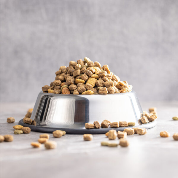 宠物粮食除了优质也追求绿色 Pet World 串联生命致力共存