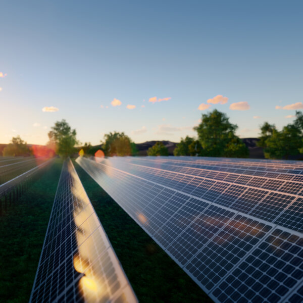 Fabulous Sunview 为绿色能源发展迎来朝阳