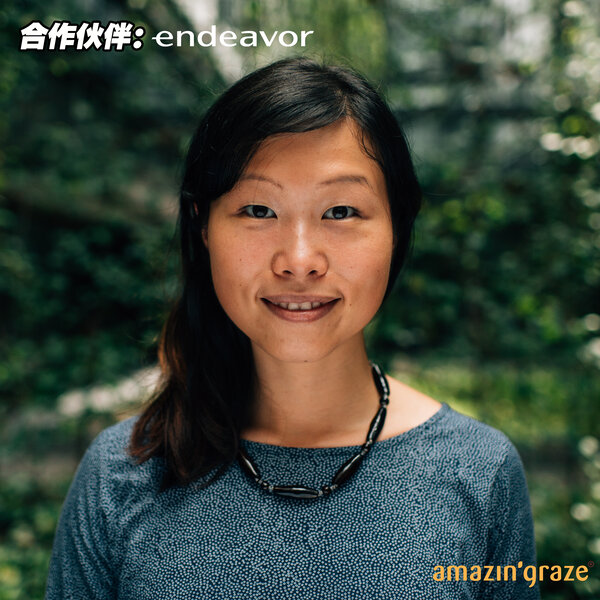 Amazin'Graze以健康为本,颠覆零食市场