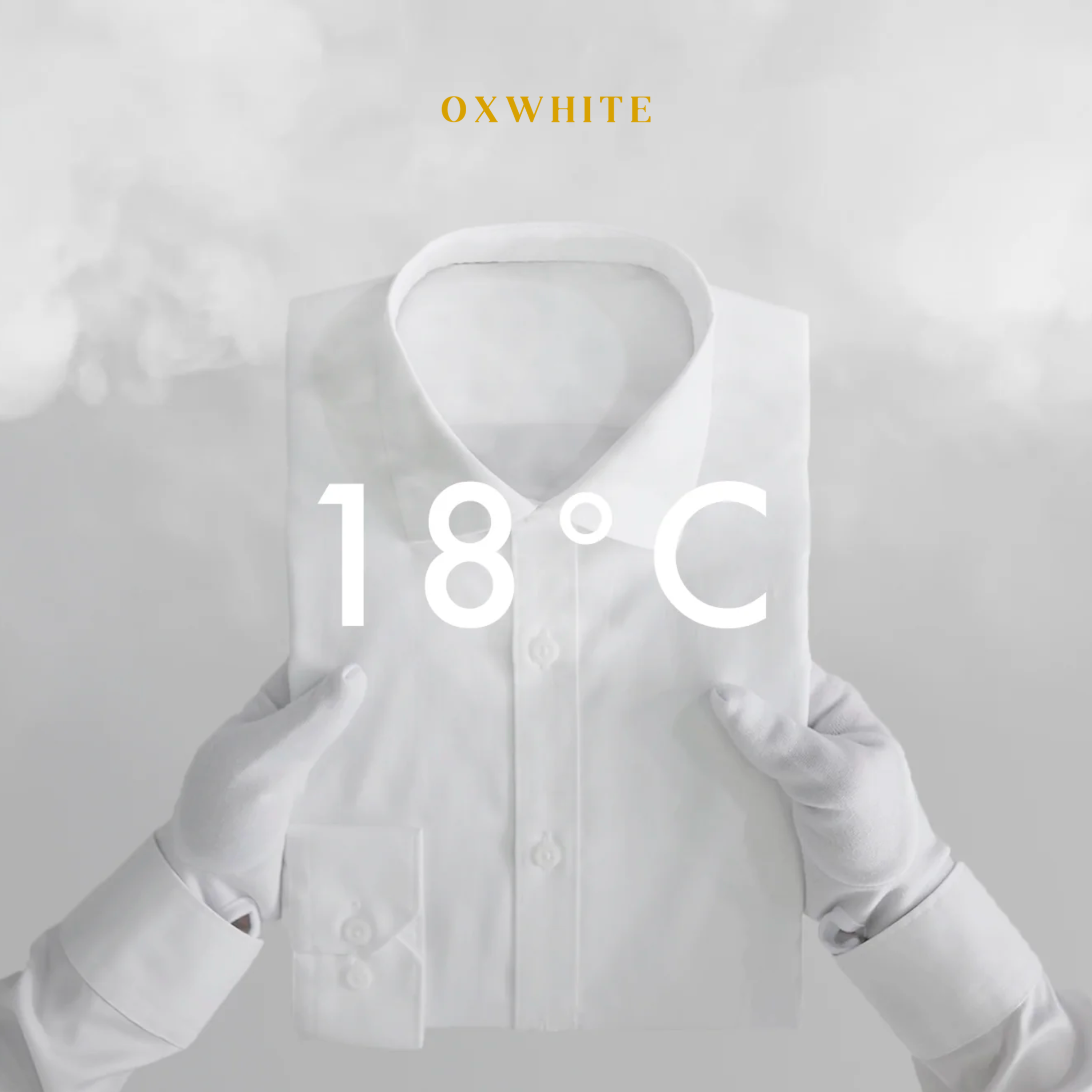 【双赢时刻】OXWHITE 五周年：线上拓展线下，继续厚积薄发