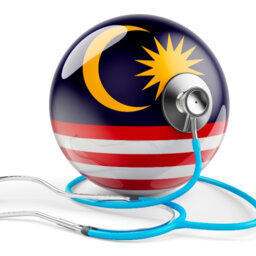 Securing Malaysia's Public Healthcare System