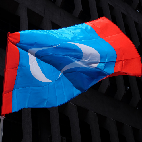PKR's Rising Phoenixes 