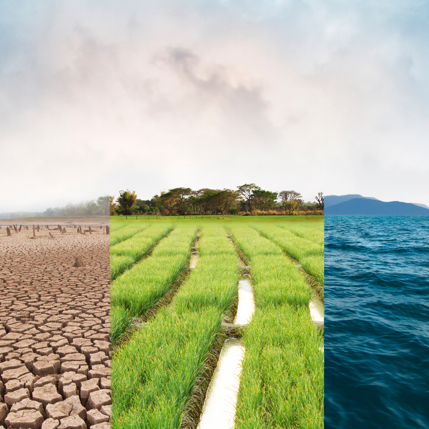 Food Insecurity Triggered By Climate Crisis 